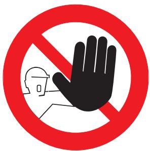 BLAUPUNKT TSW 250 - Pôle magnétique classique - 1