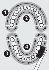 PHILIPS 900PLUS SERIES - Fonction Quadpacer (minuterie à intervals de 30 secondes) - 1