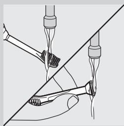 PHILIPS 900PLUS SERIES - Brush head - 1