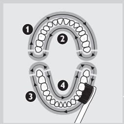 PHILIPS 900PLUS SERIES - Putzanleitung - 2