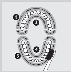 PHILIPS 900PLUS SERIES - Instructions de brossage - 2
