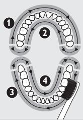 PHILIPS 900PLUS SERIES - Quadpacer - 1