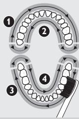 PHILIPS 900PLUS SERIES - Poetsinstructies - 2