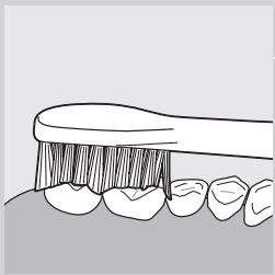 PHILIPS 900PLUS SERIES - Poetsinstructies - 3