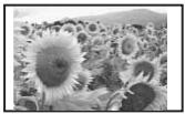 SONY DPP-EX50 - Prints you can make - 1