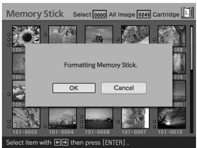 SONY DPP-EX50 - Formatting a "Memory Stick" - 1