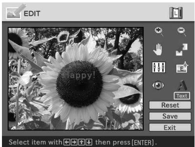 SONY DPP-EX50 - Press the arrow ( / ) button to select "Execute", then press ENTER. - 1