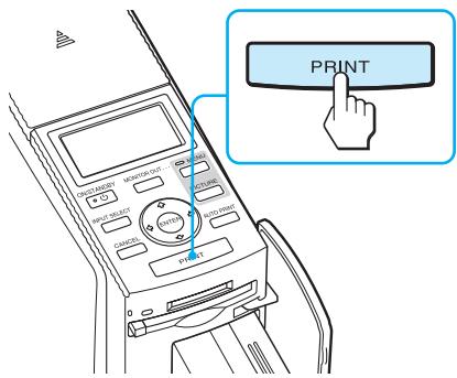 SONY DPP-EX50 - Press INPUT SELECT repeatedly to select the memory card containing the images that you want to print. - 5