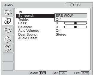SONY MFM-HT205 - ■ Setting "Surround" - 1