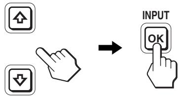 SONY SDM-S95AR - Adjust the item. - 1