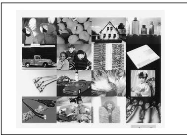 SONY UP-51MD - Printouts that can be made with the printer - 5