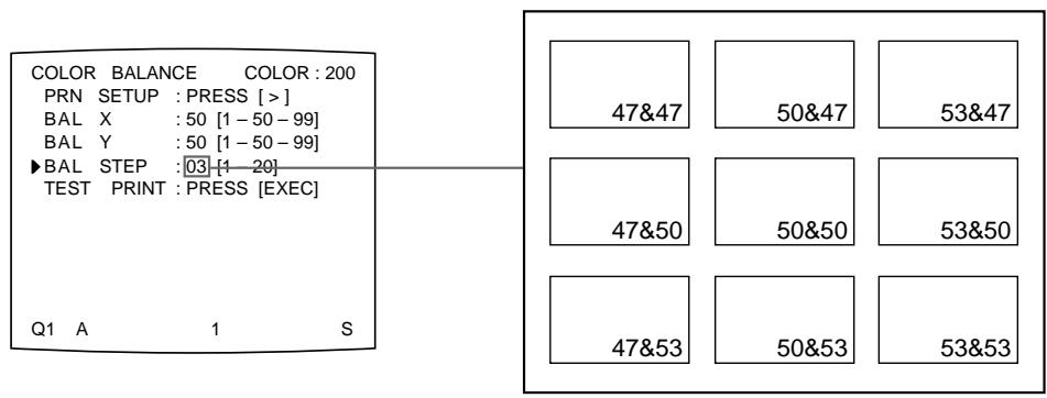 SONY UP-51MD - To perform fine adjustment - 1