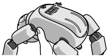 SONY ERA-301P2 - Schließen Sie den Netzadapter an eine Wandsteckdose an. - 2
