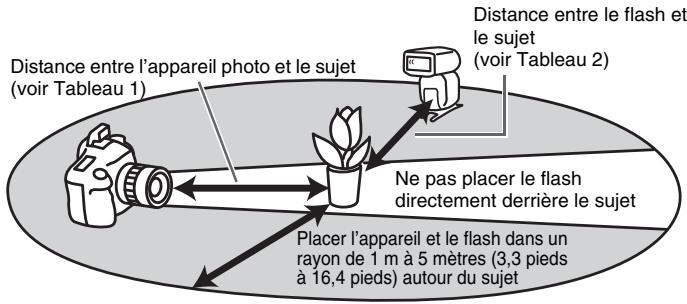 SONY HVL-F60M - Portée du flash sans cordon - 1