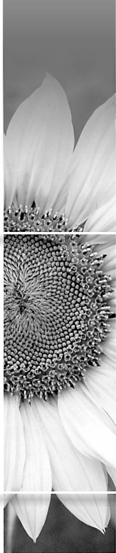 EPSON EMP-760 - Guide de l'utilisateur - 7