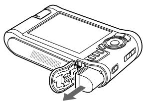 EPSON P-3000 - Important : - 2