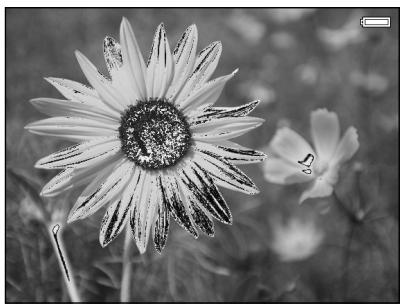 EPSON P-3000 - Photo - 5