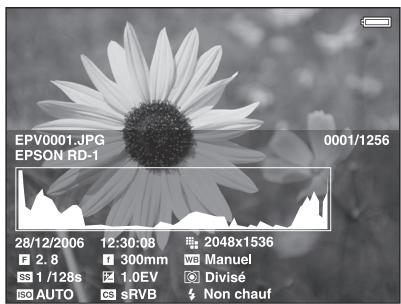 EPSON P-3000 - Photo - 3