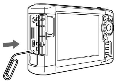 EPSON P-3000 - Réinitialisation de la visionneuse - 1