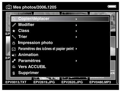 EPSON P-3000 - Copie de données spécifiques - 1