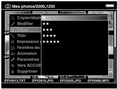 EPSON P-3000 - Remarque : - 1