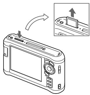 EPSON P-3000 - Important : - 1