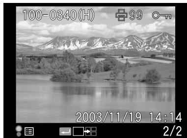 EPSON R-D1 - Contenus de l'affichage - 2