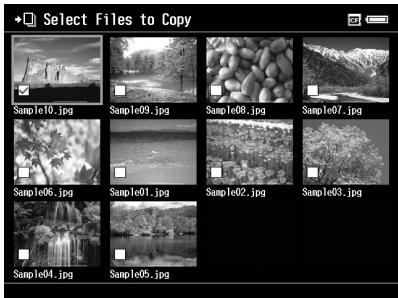 EPSON P-7000 - Copie de données spécifiques - 1