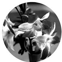 EPSON EH-TW2900 - 10