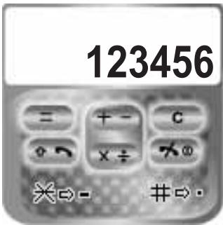PANASONIC X300 - Calculatrice - 1