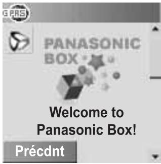 PANASONIC X300 - Depuis navigateur - 2
