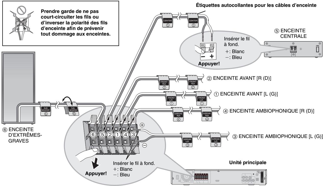PANASONIC SC-HT744 - ÉTAPE 3 Raccordement des enceintes - 3