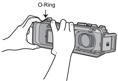 PANASONIC DMW-MCTZ5 - Den O-Ring zum Entfernen mit den Fingern lösen. - 1