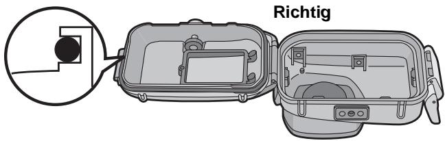PANASONIC DMW-MCTZ5 - Die Nut des O-Rings überprüfen. - 2