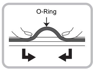 PANASONIC DMW-MCTZ5 - Den O-Ring zum Entfernen mit den Fingern lösen. - 2