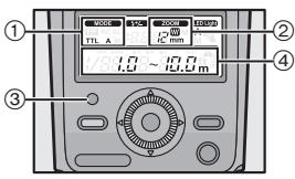 PANASONIC DMW-FL360LPP - Scatto - 1