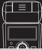 PANASONIC DMW-FL360LPP - LUMIX - 2