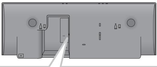 PANASONIC HCNE1EF - Zusatzverbindung - 1