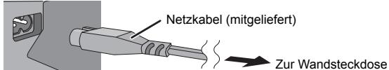 Netzkabel (mitgeliefert) Zur Wandsteckdose