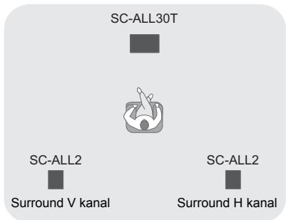 PANASONIC SC-ALL30TEG - Bakre surround - 1