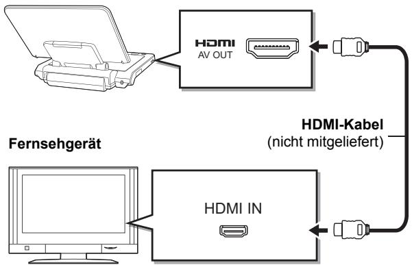 PANASONIC DMP-B200EBK - Vorbereitung - 1