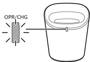 OPR/CHG