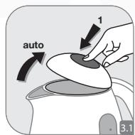 1 auto 3.1