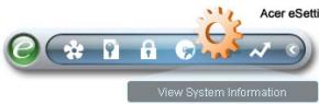 Acer eSetti View System Information