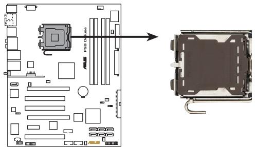 ASUS P5B DLX - Installer le CPU - 1