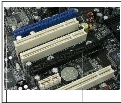 ASUS P5B DLX - Slots PCI Express x16 - 1