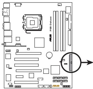 ASUS P5B DLX - Connecteur IDE (40-1 pin PRI_IDE) - 3