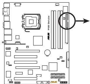 ASUS P5B DLX - Connecteur pour lecteur de disquettes (34-1 pin FLOPPY) - 2