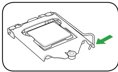 ASUS P8Z68-V LX - Installer le CPU - 11