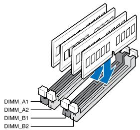ASUS P8Z68-V LX - Un module mémoire : - 2